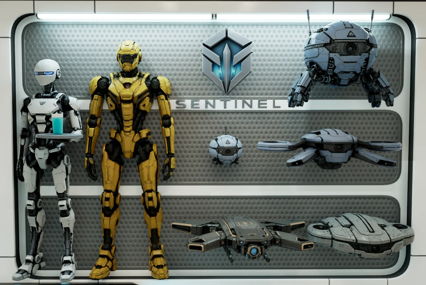 Sentinel rack 1